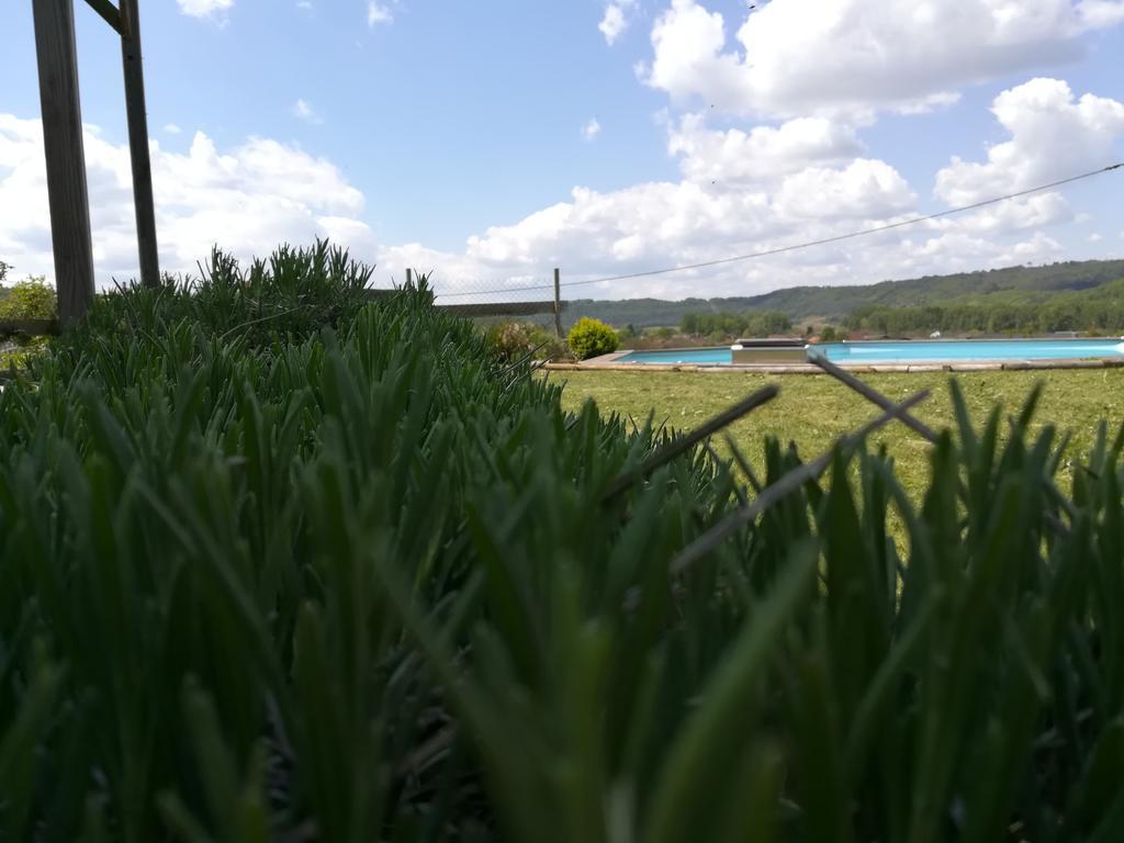 Villa La Guionie Montignac Lascaux מראה חיצוני תמונה